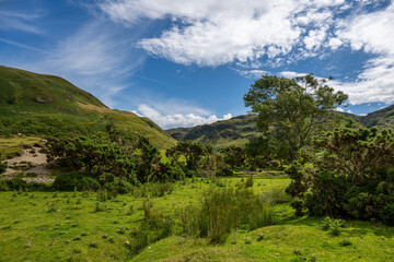 Obraz premium Scottland Lanschaft