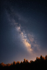 Fototapeta premium A breathtaking view of the Milky Way stretching across a starry night sky, above a silhouetted treeline. Evokes wonder, adventure, and the vastness of space.