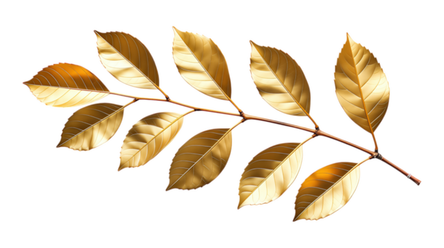 Gold Leaf Branch with Transparent Background, Intricate Metallic Design Element