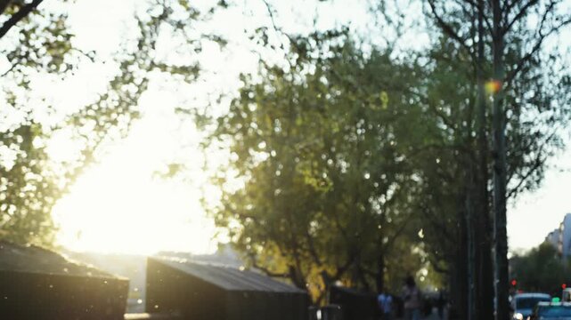 Blurry parisian street scene with bokeh at sunset