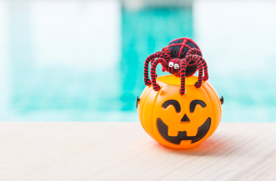 Black spider on Halloween pumpkin lantern with space on swimming pool background, outdoor day light, Happy halloween background idea