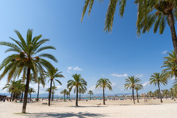 Obraz premium Beach of Palma De Mallorca