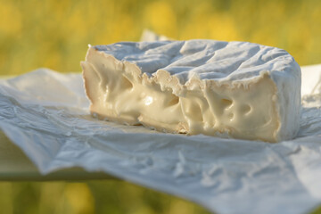 Soft French Brie Camembert cheese, white mold, sunlight, close-up, macro.