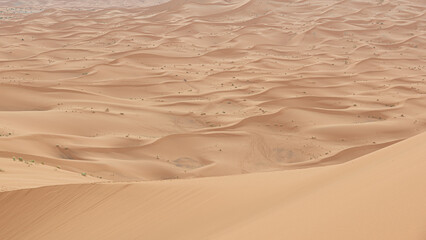 Silence and sand, the endless beauty of the Sahara