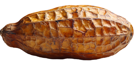 Closeup single nut whole light brown food photography