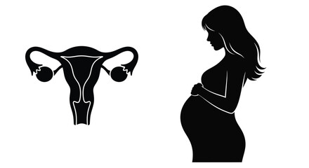 Pregnancy illustration featuring a uterus and silhouetted expectant mother profile