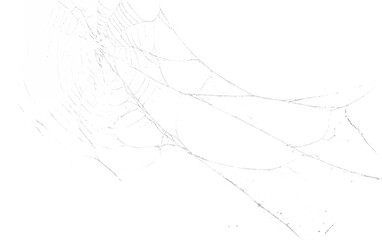 spiderweb isolated against transparent background