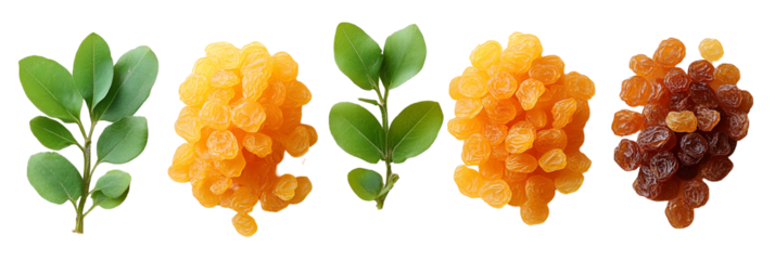 Colored textured shapes against transparent background