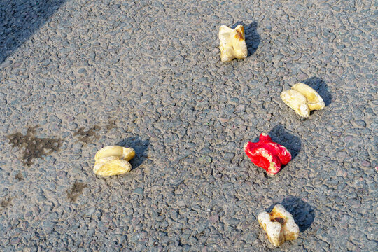 Traditional national Asian game - Alchiki, known in other cultures as - Knucklebones, Shagai or Ankle bones on the Nouruz holiday. Symbolizing cultural tradition and communal activity.