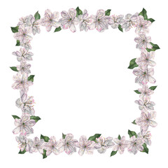 Square frame with white cherry flowers and green leaves with space for text. Hand drawn watercolor illustration of spring blooming elements on isolated background. Floral layout for Easter design