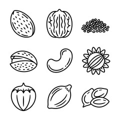 Nine different types of nuts and seeds in a simple line art icon set almond walnut
