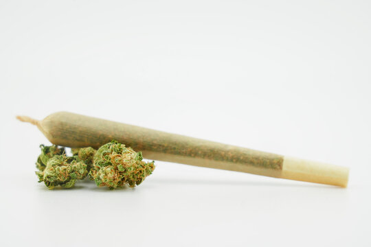 A joint after rolling, with a paper filter at left marijuana cigarette with Cannabis flower buds. Joint rolled cannabis cigarette, Prerolled Stick real photo