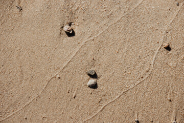 footprint on the sand