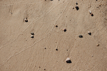 footprints on the sand