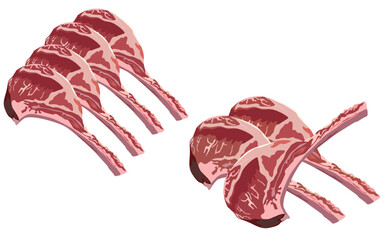 Lamb, lamb chops, lamb chops illustration design © KC Design