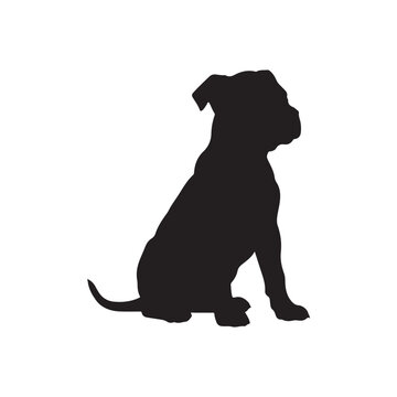 Puppy pitbull sitting silhouette vector flat illustration design