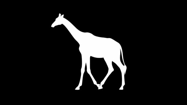 Elegant giraffe gracefully walking in silhouette animation for African wildlife documentary or safari adventure marketing, use for educational content