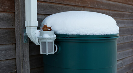 A green plastic Snow-covered rain barrel connected to a downspout, a practical image for blogs on winterizing rainwater systems.