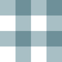 Seamless plaid pattern	
