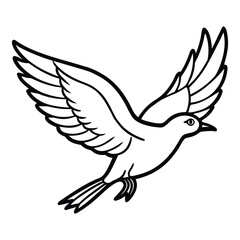 bird, flying, wings, wildlife, nature, black and white, sketch, line art, minimalist
