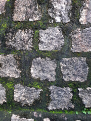 Close-up of an old stone wall with rough surface and green moss growing between the stones. Natural aged texture with earthy tones and organic pattern, perfect as a background or texture reference.