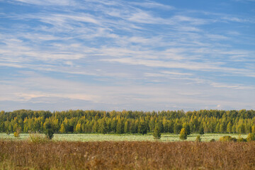 Fototapeta premium Stunning, Serene Landscape Featuring Colorful Trees Against a Tranquil, Clear Sky