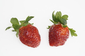 新鮮なイチゴ　愛きらり 愛知県産