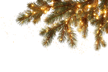 Festive christmas pine branches with lights on white background for seasonal decor