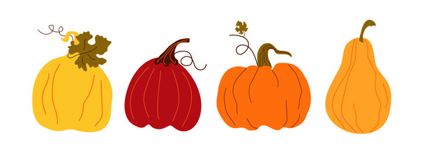 Vector set colorful  pumpkins   in flat style .Isolated  vector on white background.