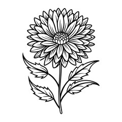 Obraz premium Elegant smooth aster flower vector image with decorative floral pattern and natural garden style