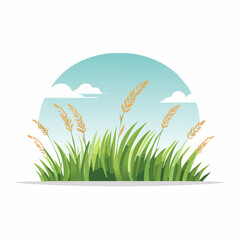 Obraz premium Green grass and wheat plants under the blue sky.