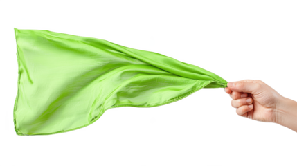 hand holding green flag 