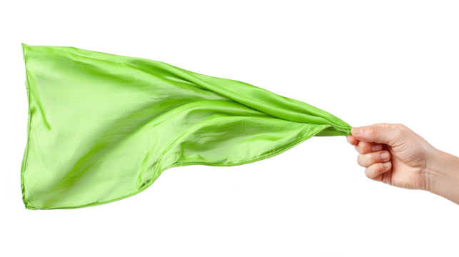 hand holding green flag 