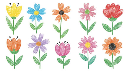 Colorful Crayon Flower Doodles, Hand Drawn Floral Illustration Set on White Background