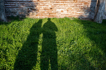 Shadow of a couple cast on a green lawn. Outdoor scene capturing human silhouettes on grass,...