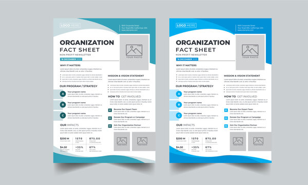 Nonprofit Organization Fact Sheet layout design template with 2 colors design concept
