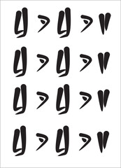 Pattern t-shirt graphic design vector illustration