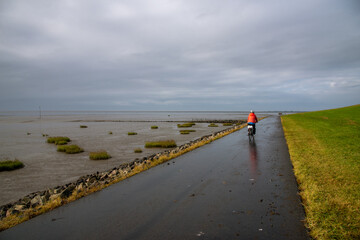 Radfahrer im Wattenmeer