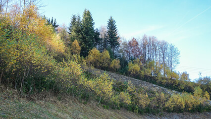 Fototapeta premium Herbstwanderung am Arber, Niederbayern