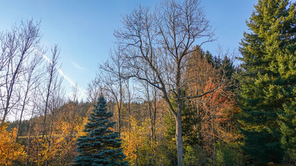 Herbstwanderung am Arber, Niederbayern