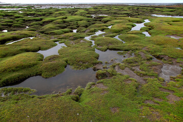 Wattenmeer