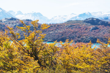 Autumn in mountains