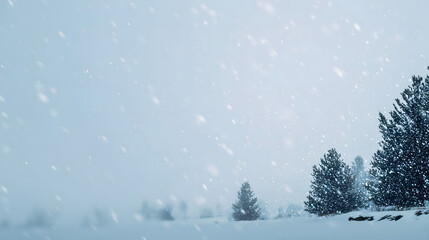 Gentle Snowfall Against Minimal White Winter Sky