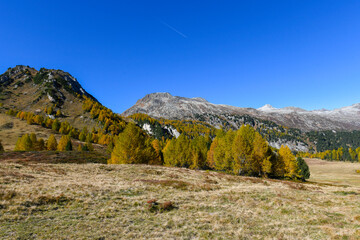 High mountain panorama in autumn with green and yellow colored larches, blue sky, in the Swiss Alps.