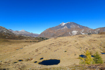 High mountain panorama in autumn with green and yellow colored larches, blue sky, in the Swiss Alps.