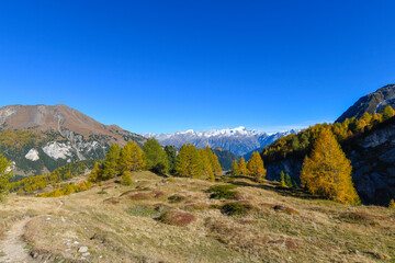High mountain panorama in autumn with green and yellow colored larches, blue sky, in the Swiss Alps.