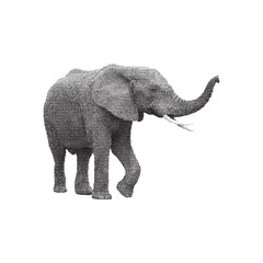 Obraz premium Halftone Elephant Silhouette Illustration