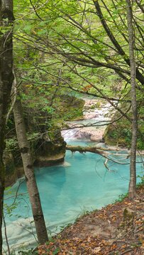 The urederra river in navarra, spain
