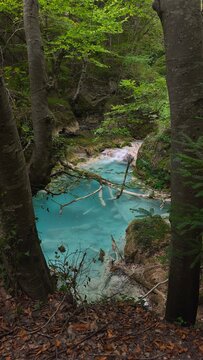 The urederra river in navarra, spain