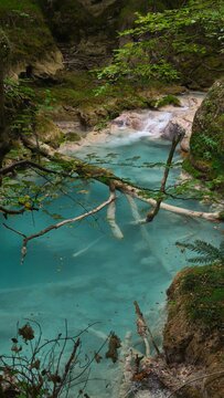 The urederra river in navarra, spain
